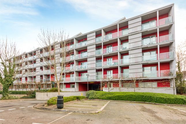 Flats For Sale In Liberty Gardens Caledonian Road Bristol Bs1