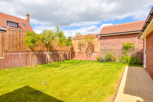 Plot 98 Alnwick, Brookfield Farm Way, Great Dunmow photo 3