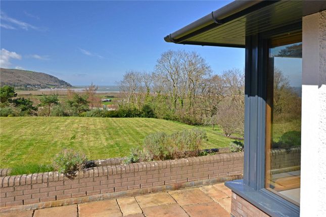 Terrace View
