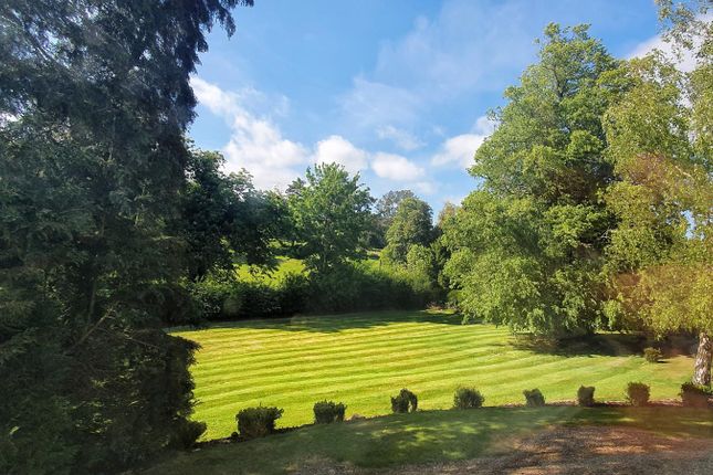 Your Lawn &amp; Uninterrupted Views Of Rolling Parklan