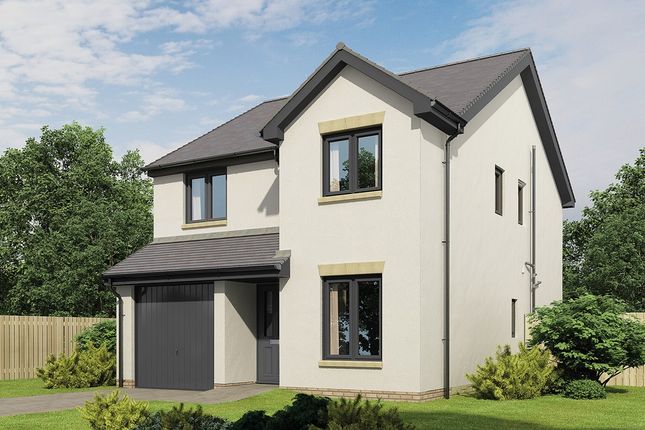 Thumbnail Detached house for sale in "The Douglas - Plot 188" at Briggers Brae, South Queensferry