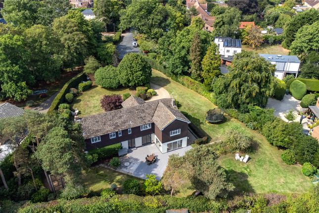 Tydehams Oaks