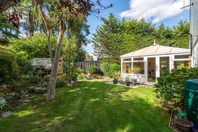 7, Pine Close, Dorset photo 4