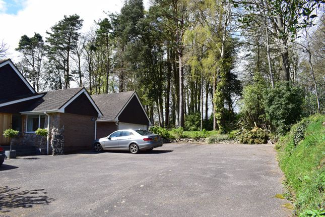 Detached bungalow for sale in Inner Ting Tong, Budleigh Salterton