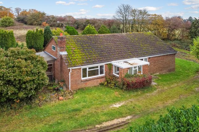 Thumbnail Detached bungalow for sale in Wellhouse Road, Beech