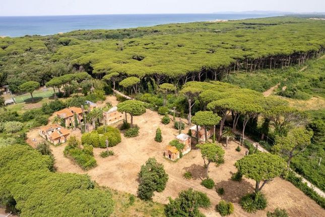 Thumbnail Commercial property for sale in Toscana, Livorno, Castagneto Carducci