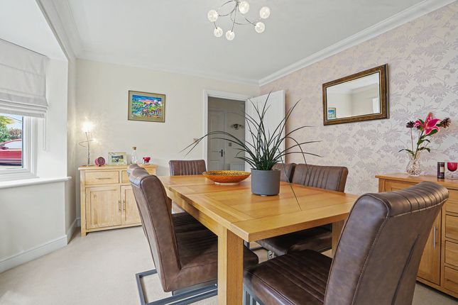 2, Brook View, Newport photo 4