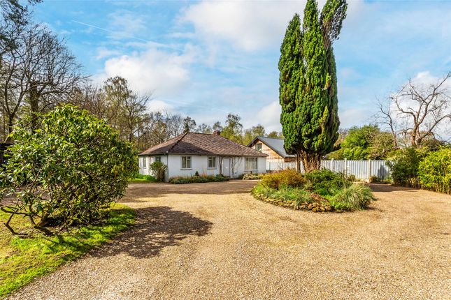 Bungalow for sale in Radnor Lane, Holmbury St. Mary, Dorking, Surrey