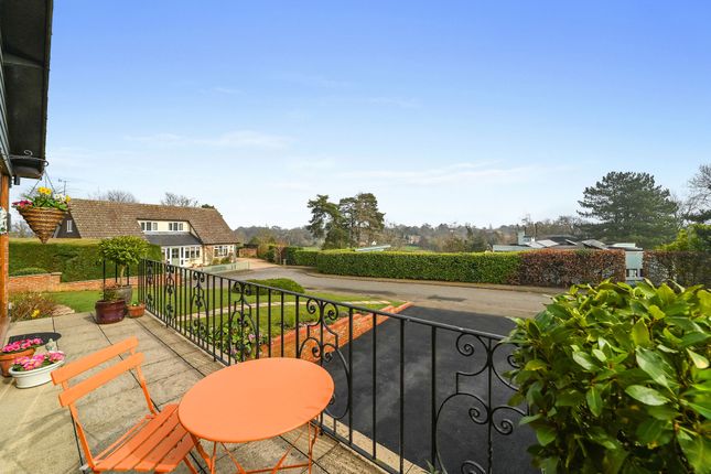 The Gramps, Ufford Place, Woodbridge photo 4
