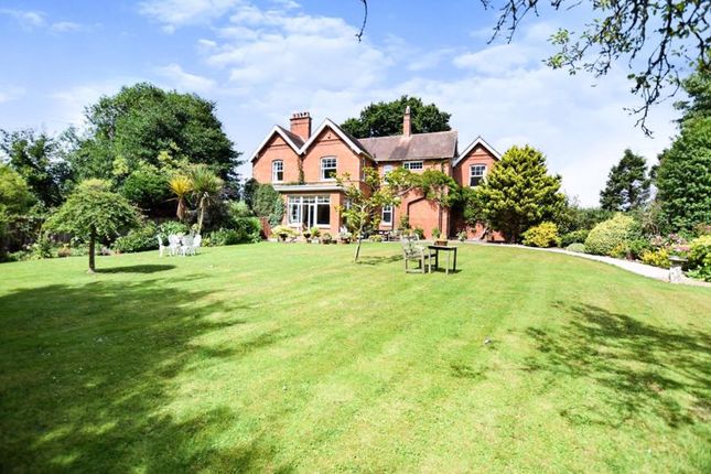 Thumbnail Detached house for sale in Hele, Exeter