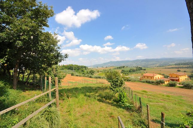 Thumbnail Land for sale in Castiglione Del Lago, Castiglione Del Lago, Umbria