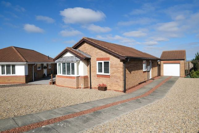 Thumbnail Bungalow for sale in Gloster Park, Amble, Morpeth