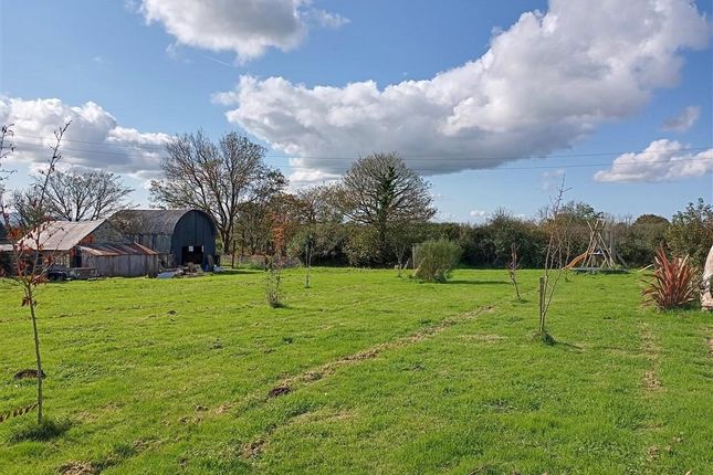 Large Lawned Grounds