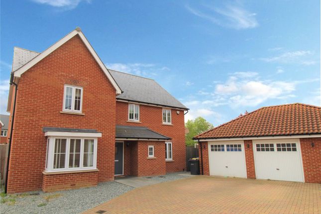 Thumbnail Detached house for sale in Beehive Lane, Hawkwell, Hockley, Essex