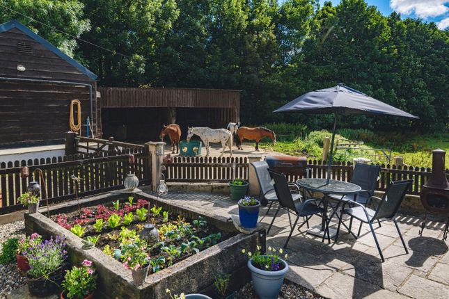 Highly Desirable Smallholding Property