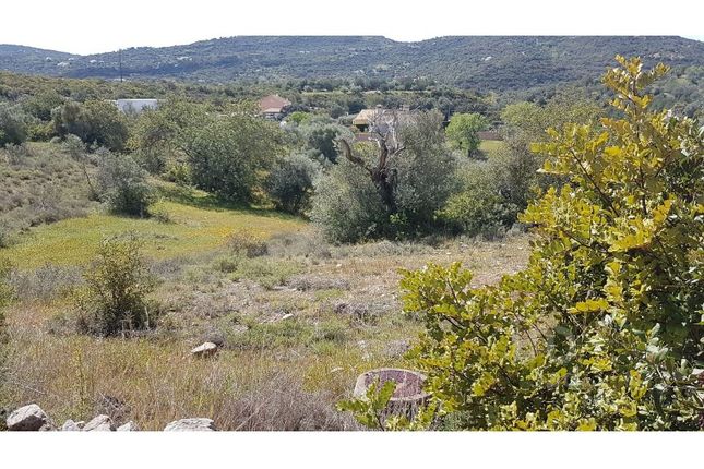 Land for sale in São Brás De Alportel, São Brás De Alportel, Faro