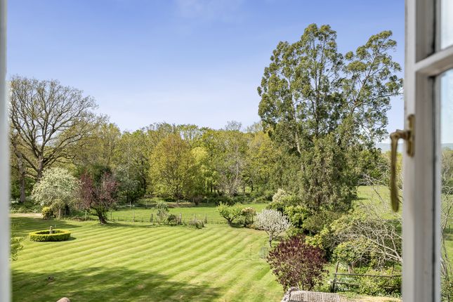 High Buckhurst Cottage, Mark Beech, Mark Beech photo 2