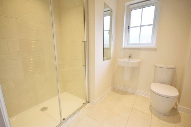 7, Meadow View, Hampshire photo 4