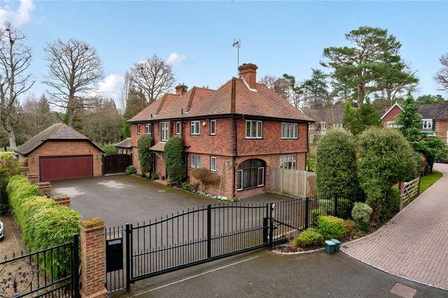 Thumbnail Detached house for sale in Hope Fountain, Camberley, Surrey