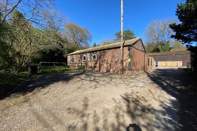 Detached bungalow to rent in Valley End, Chobham, Woking