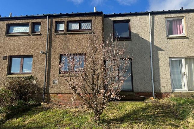 Thumbnail Terraced house for sale in Eastcliffe, Berwick-Upon-Tweed