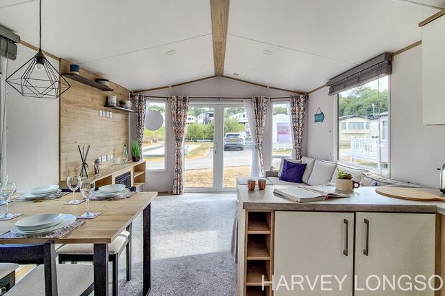 Hedley Wood Holiday Park, Bude photo 3