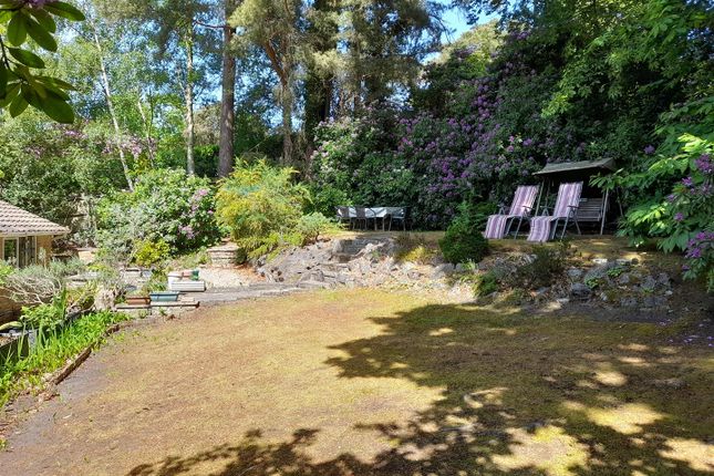 Windermere, Samarkand Close, Camberley photo 3