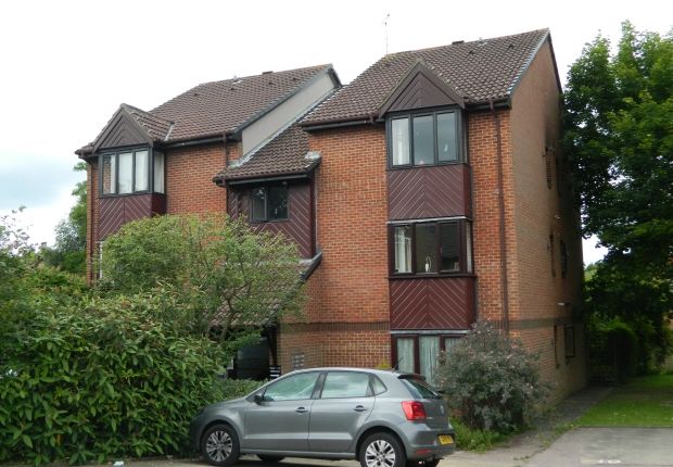 Thumbnail Property to rent in Wallis Way, Horsham