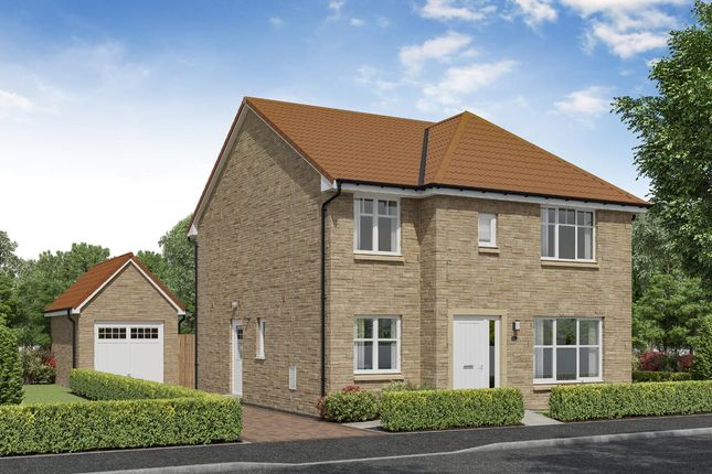 Thumbnail Detached house for sale in "Hatton" at Baroque Drive, Danderhall, Dalkeith