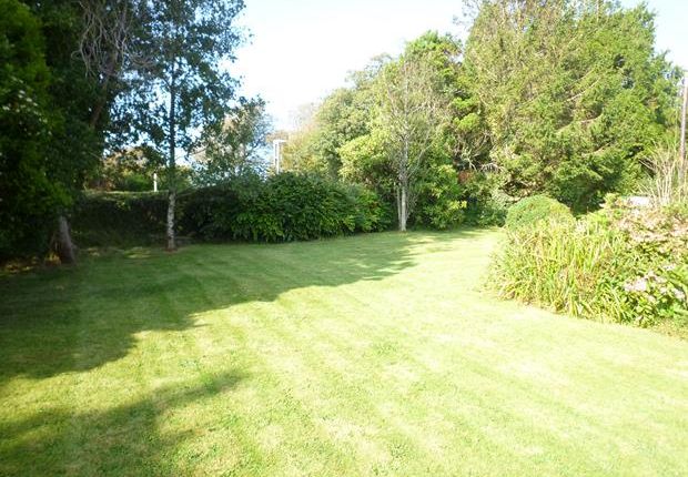 Halsbury, North Road, Holsworthy photo 5