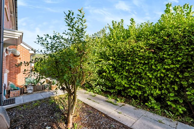 20 Parc Y Dyffryn, Rhydyfelin photo 2