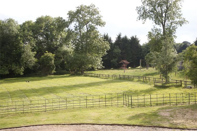 Grounds