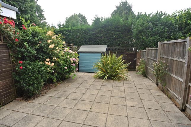 Garden.Jpg