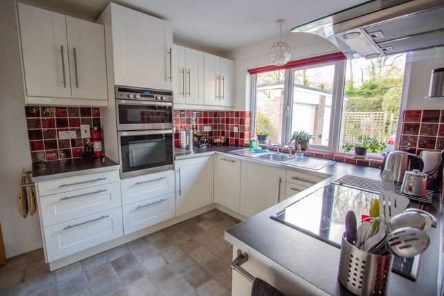 The Garden House, Ottery St Mary photo 2
