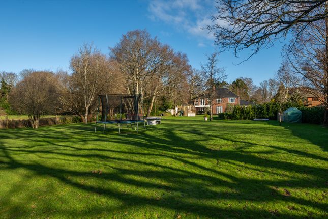Detached house for sale in Rowland's Castle, Hampshire