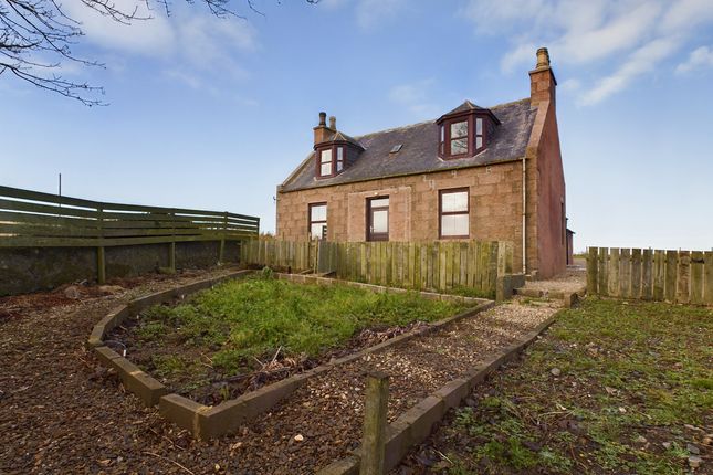 Thumbnail Cottage for sale in South Mains Of Ardiffery Farmhouse, Peterhead