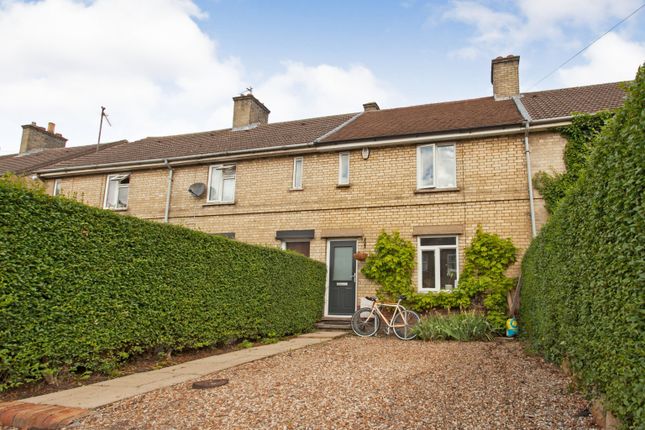Thumbnail Terraced house for sale in Scotland Road, Cambridge