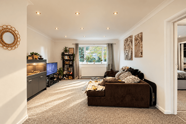 18, Haig Court, Chelmsford photo 3