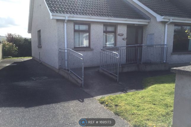 Thumbnail Semi-detached house to rent in Castle Park, Limavady