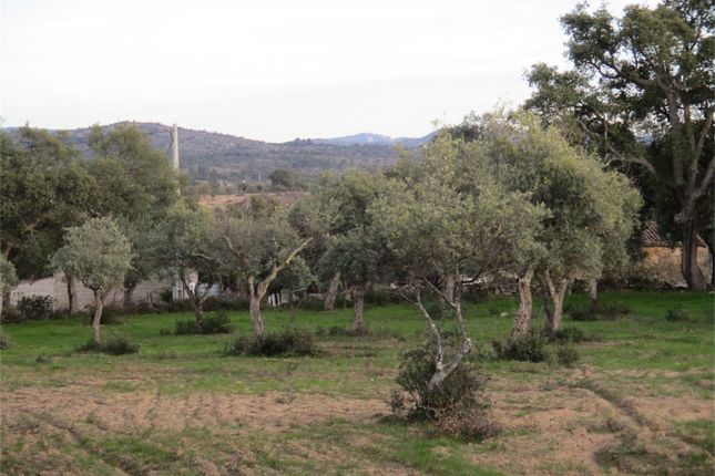 Land for sale in 6090 Penamacor, Portugal
