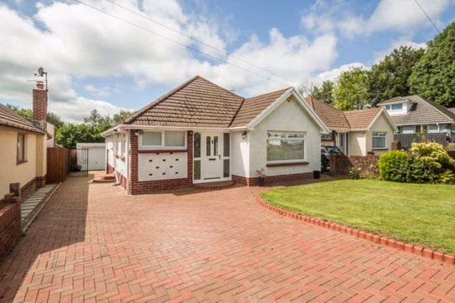 Thumbnail Bungalow for sale in Energlyn Close, Caerphilly