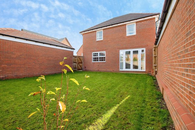 Grasshopper Green, Nottinghamshire photo 4