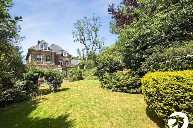 Communal Garden