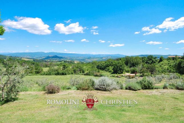 Land for sale in Todi, Umbria, Italy