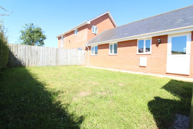 Bungalow to rent in Canon Pyon, Hereford