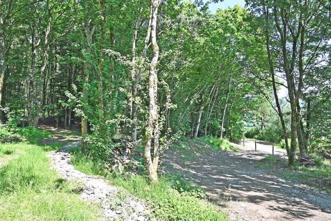 Secondary Access