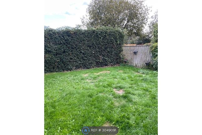 The Annexe  The Grove, Rumney, Cardiff photo 4