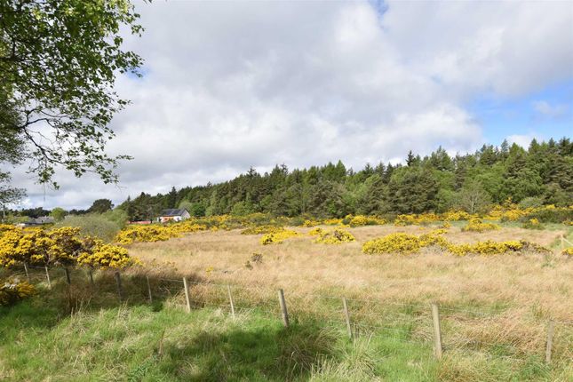 Land for sale in Invergordon IV18