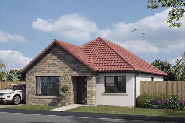 Thumbnail Detached bungalow for sale in Plot 118, The Avenue, Lochgelly