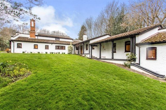 Thumbnail Bungalow for sale in Weald Road, South Weald, Brentwood, Essex